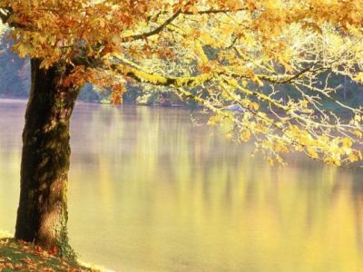� in autunno