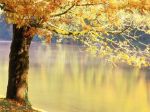 � in autunno