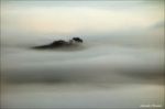 Solitudine