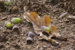 Separazione