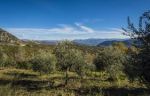 La valle