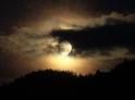 Notte