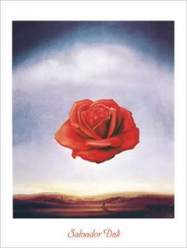La rosa