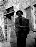 Amata zolla