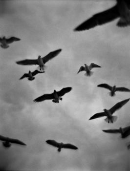 Una Grigia Dissolvenza