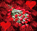 Donami Mille Rose  