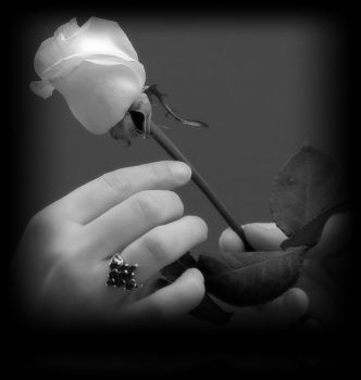 Amica Mia