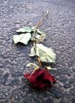 Solitudine in Poesia