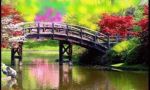 Il Tuo Dire � in Fondo al Cuore