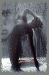Anima saggia