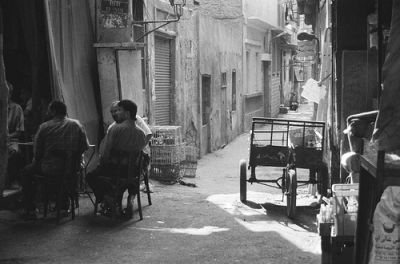 La nostra giovent�  