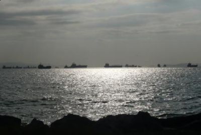 La gibigiana  