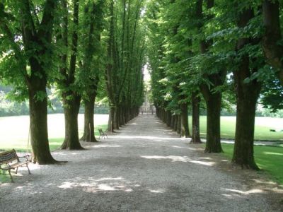 Viale Viareggio- Pisa  