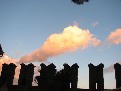Non amo