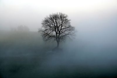 Avvolti dalla nebbia impressioni