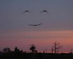 Sorridere sempre