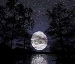 Lume di luna