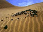 Il Tempo come il deserto