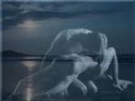 L'Anima � graffiata