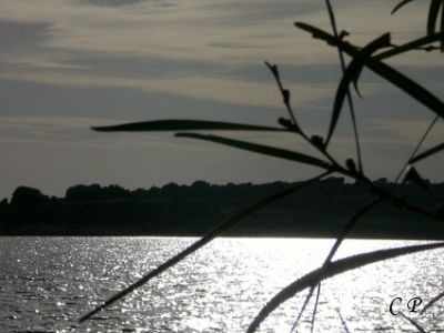 Vento a primavera