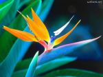 Ti chiamer� Amore  
