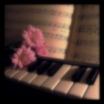 Musicista di sogno  