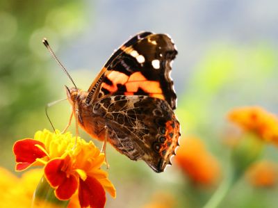 E' un Amore che va oltre  