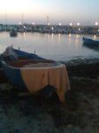 L'Amore dirige  