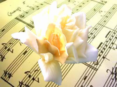 Un canto soave  
