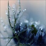 Tra i vivi senza cuore  
