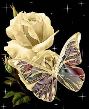Godo dell'immensit�  