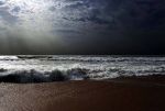 Marea nera