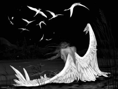 Noir