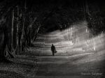 Dove il Tempo