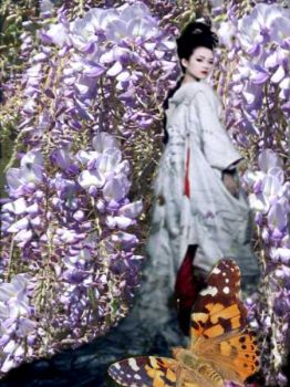 Geisha