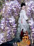 Geisha