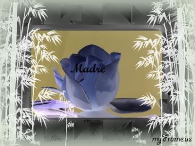 Madre