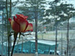 Perle di felicit�