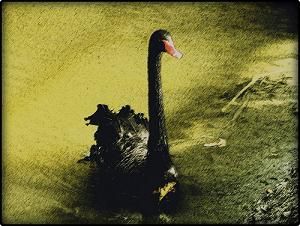 Un canto nel vento