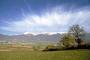 Visione
