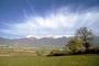 Visione