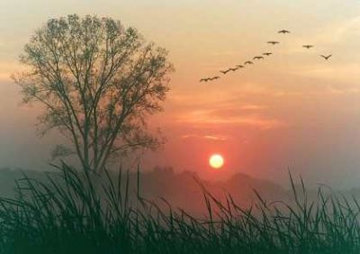 Sogno e Verit�