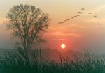 Sogno e Verit�