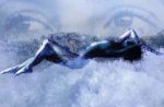 Ti Insegner� a Volare e Tu... a Restare