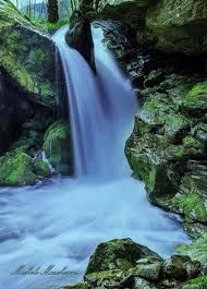 Torrente