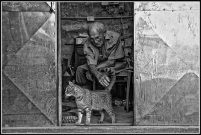 La meglio gioventt�