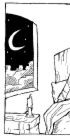 Dettagli all'ombra della luna