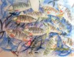 Pesca miracolosa  