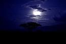 La notte fugge
