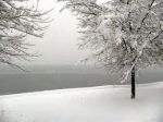 Fiocchi di neve